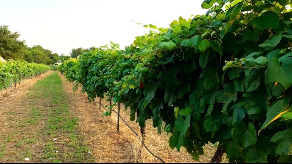 More Photos Of 6745 N Gregory Rd, Yukon Winery Vineyard For Sale