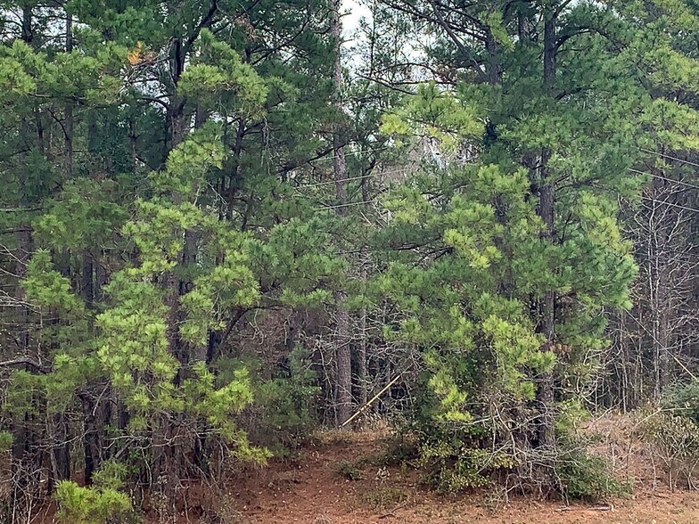 More Photos Of Highway 190, Huntsville Land For Sale