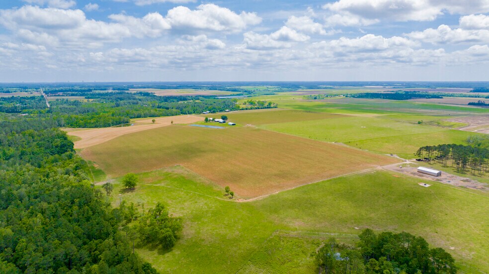 More Photos Of 24795 Hwy 32, Elberta Land For Sale