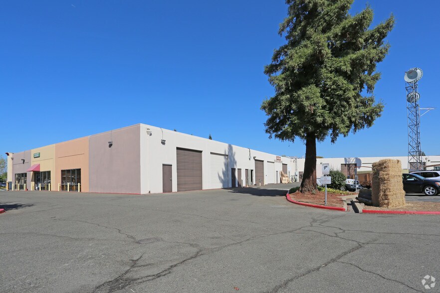 vca mather field road