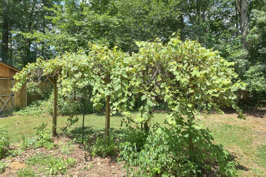 More Photos Of 90 White Church Rd, York Springs Land For Sale