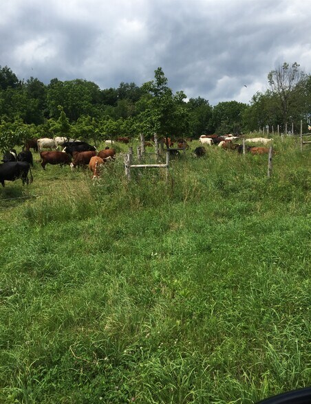 More Photos Of 65 Juliet Dr, Warwick Land For Sale