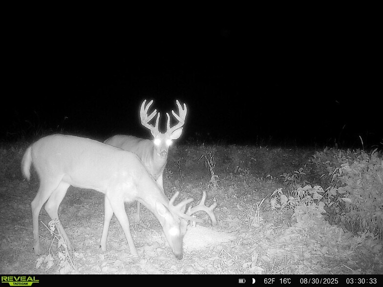 More Photos Of Highway D (77.2+/- Acres) Tract 1, Eolia Land For Sale