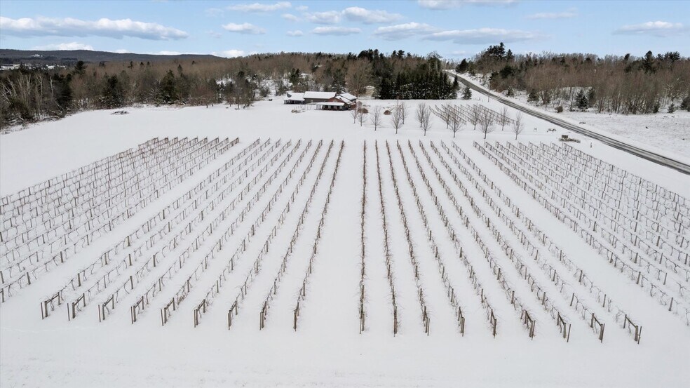More Photos Of 8370 Lakeview Rd, Alanson Winery Vineyard For Sale