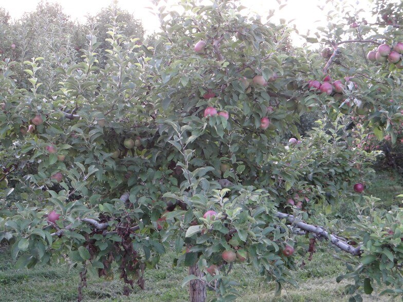 More Photos Of 275 Lattintown Rd, Marlboro Refrigeration Cold Storage For Sale