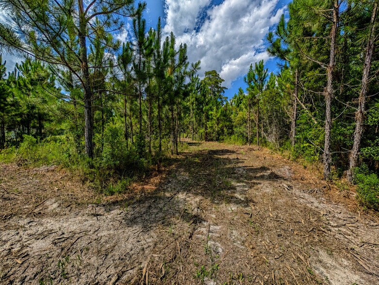 More Photos Of 18500 US Highway 331 S, Freeport Land For Sale