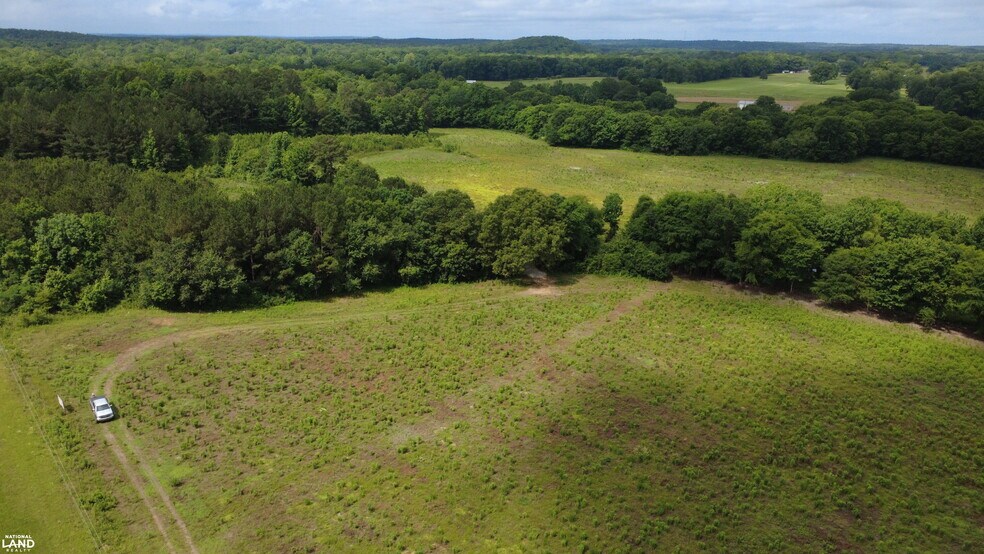 More Photos Of 0 Alabama 145, Columbiana Land For Sale