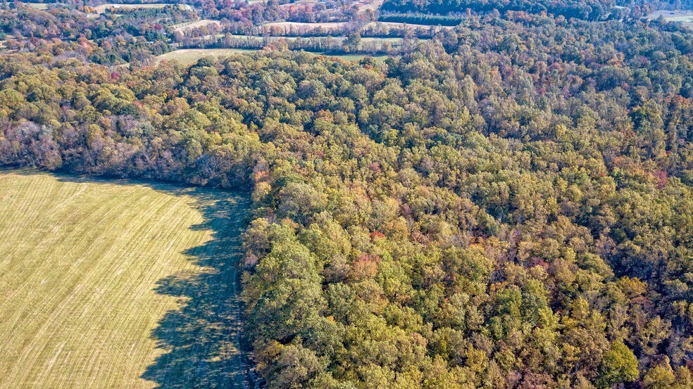 More Photos Of Quarter Branch Rd, Lovettsville Land For Sale