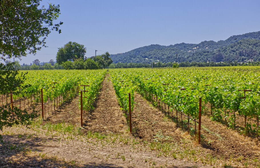 More Photos Of 6160 St Helena hwy, Napa Land For Sale
