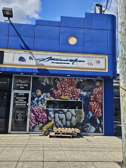 Primary Photo Of 1079-1083 Willis Ave, Albertson Storefront For Lease