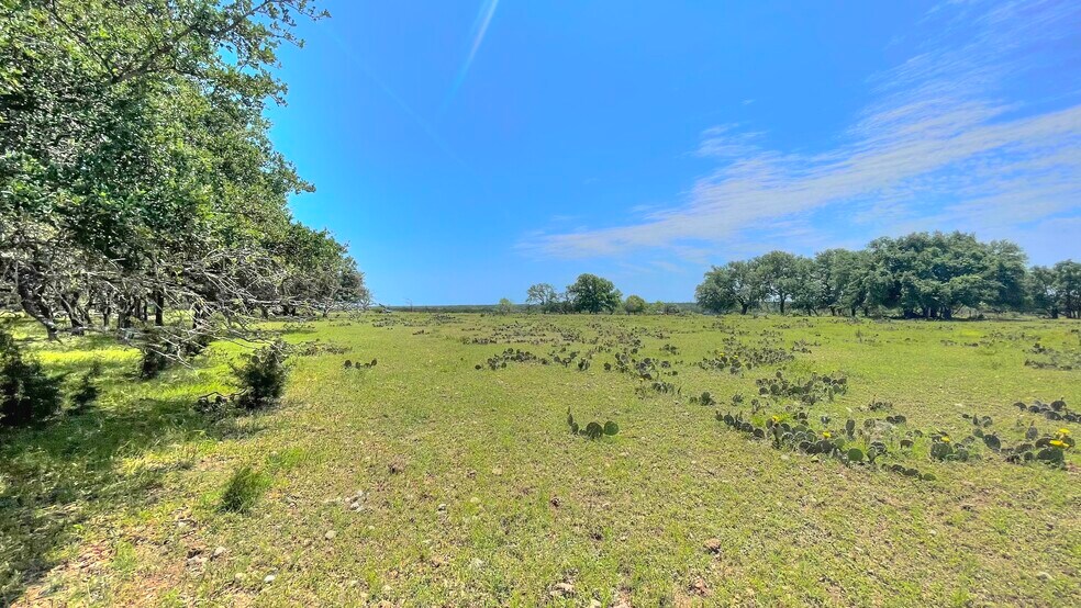 More Photos Of County Road 253, Bertram Land For Sale
