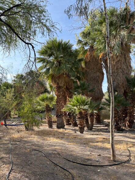 More Photos Of 160 +/- Acres Juanita Springs Ranch, Bunkerville Land For Sale