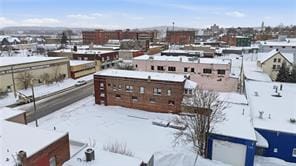 More Photos Of 523 N Goodman St, Rochester Storefront Retail Residential For Sale