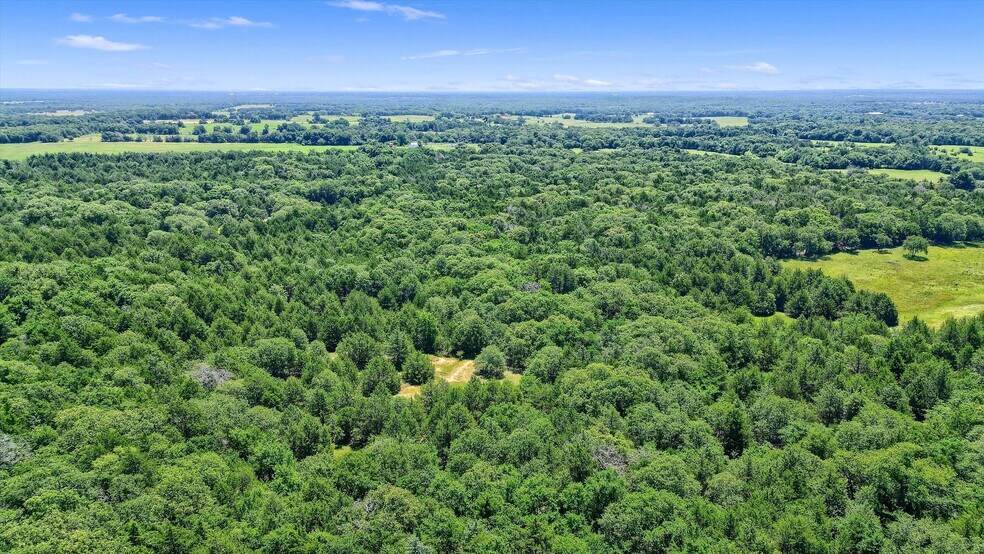 More Photos Of TBD CR 113, Whitesboro Land For Sale