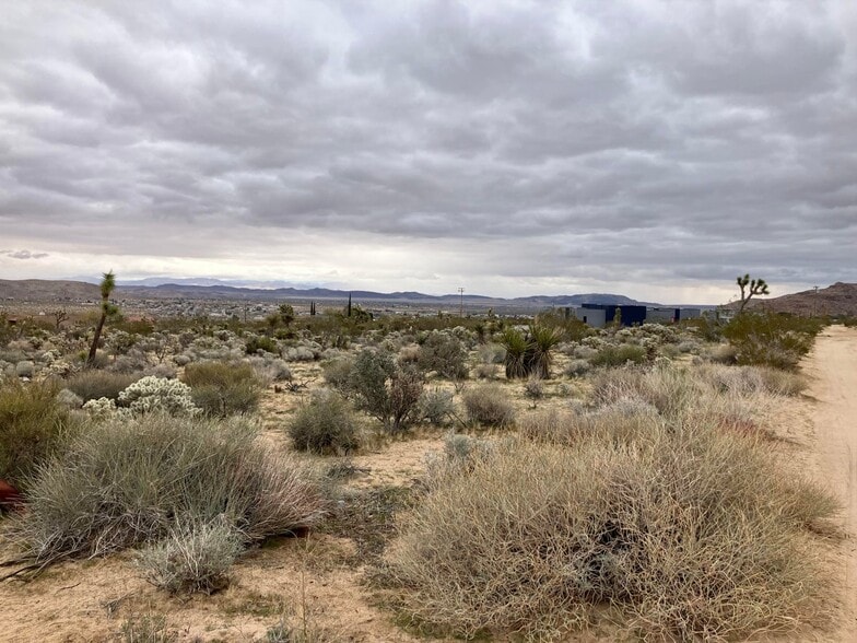 Primary Photo Of 60926 Alta Vista Dr, Joshua Tree Land For Sale