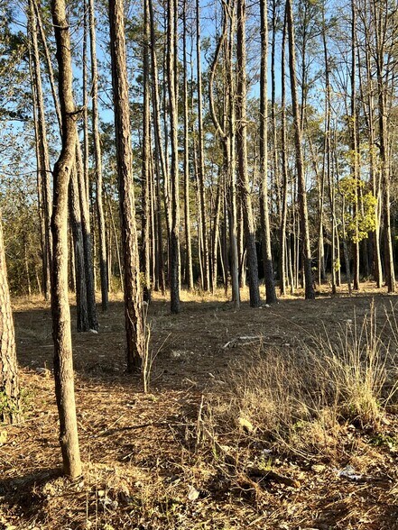 More Photos Of 71212 Highway 21, Covington Land For Lease