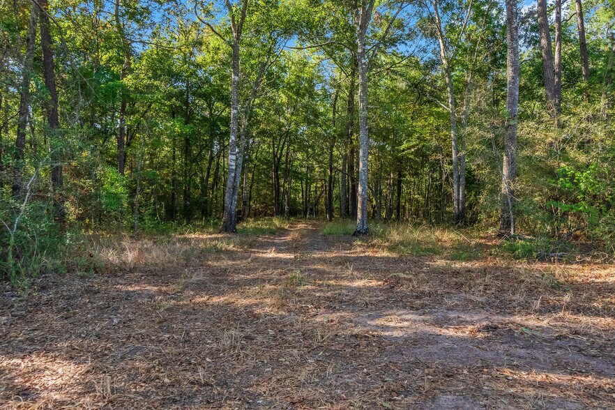 More Photos Of 15863 Rogers, Willis Land For Sale