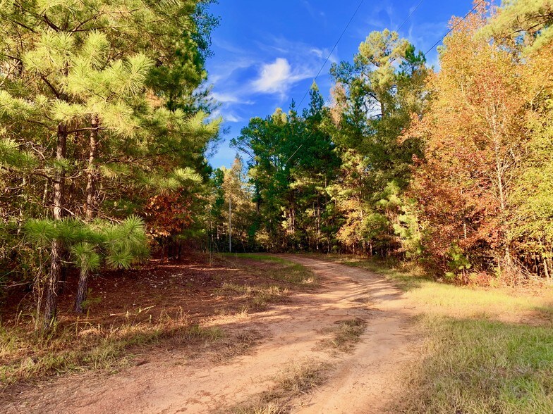 More Photos Of 1882 Barber Creek Rd, Statham Land For Sale