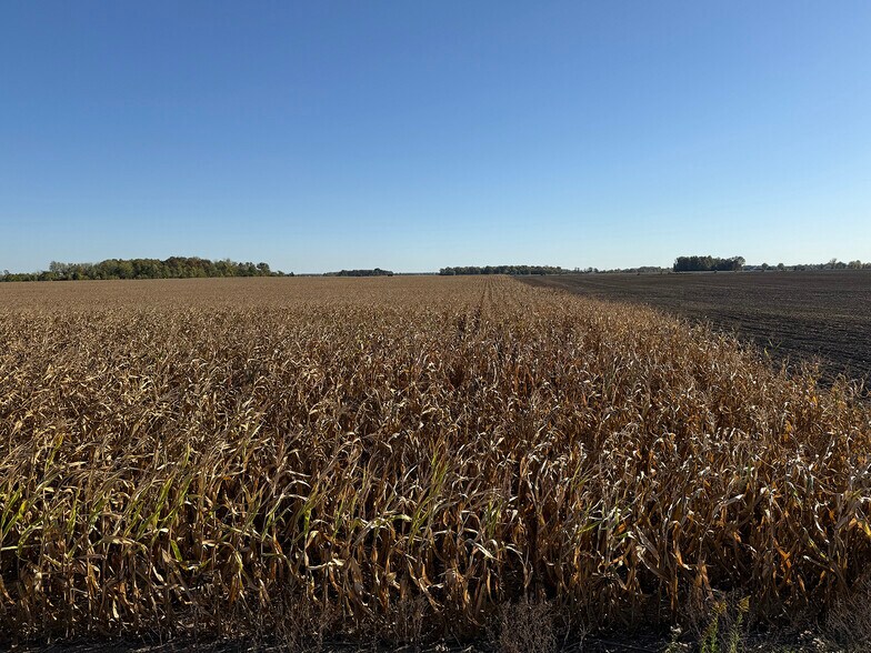 More Photos Of 4305 PLEASANT CENTER Rd, Yoder Land For Sale