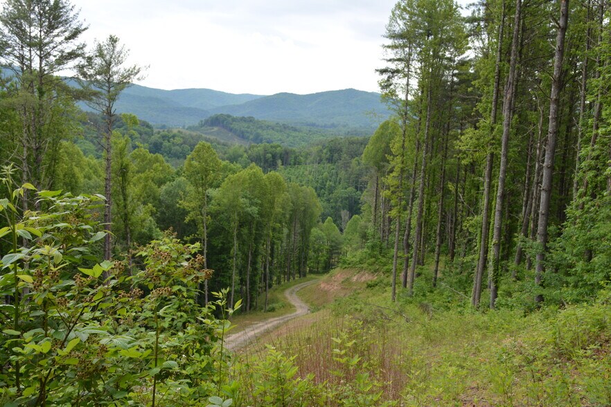 More Photos Of 6421 Highway 91 N, Laurel Bloomery Warehouse For Sale