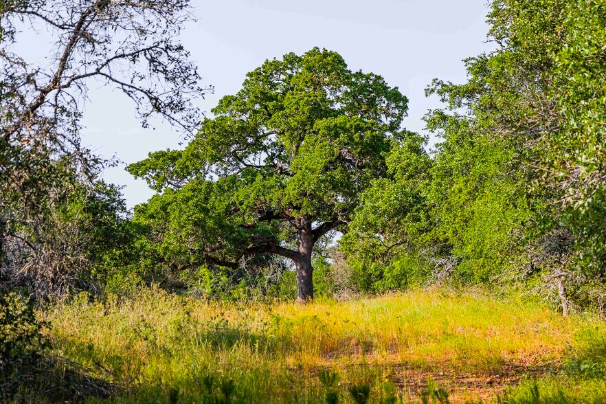 More Photos Of 256 Greasy Bend rd, Smithville Land For Sale