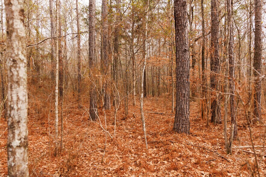 More Photos Of Jug Factory Road, Wetumpka Land For Sale