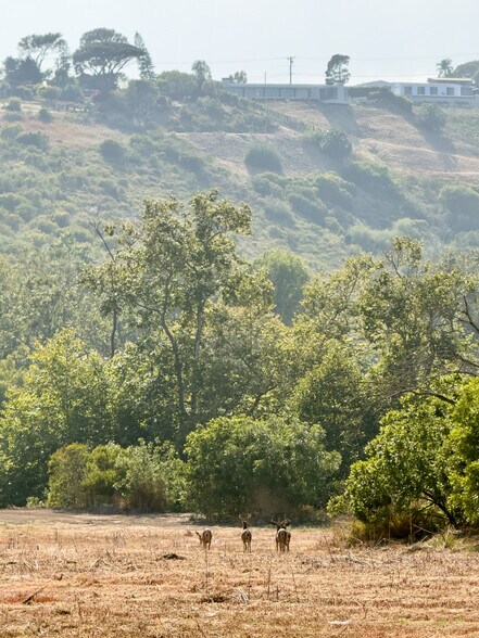 More Photos Of 5737 Bonsall Drive, Malibu Land For Sale