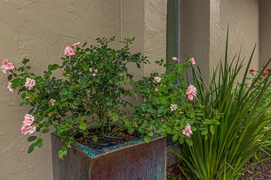 More Photos Of 119 W Plymouth Ave, Deland Unknown For Lease