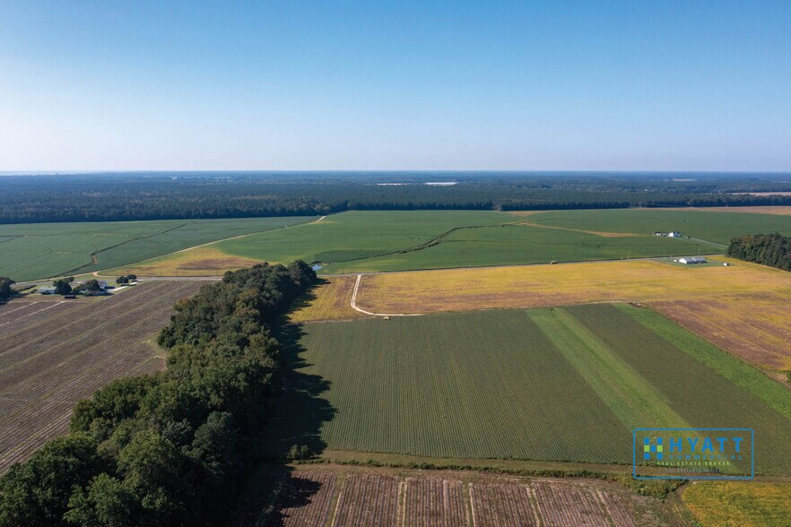 More Photos Of 5152 Rhodesdale Eldorado Rd, Rhodesdale Land For Sale