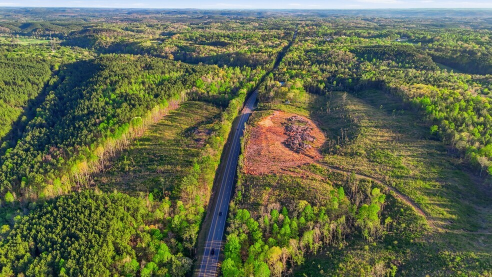 More Photos Of 0 Highway 269, Parrish Land For Sale