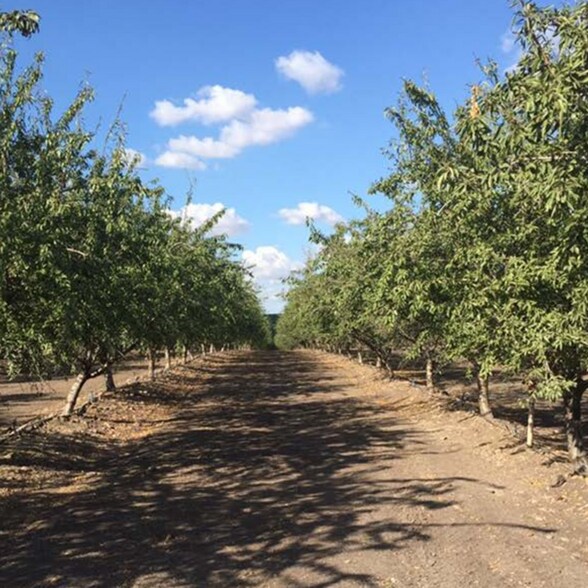 More Photos Of 6000 Tim Bell Rd, Oakdale Land For Sale