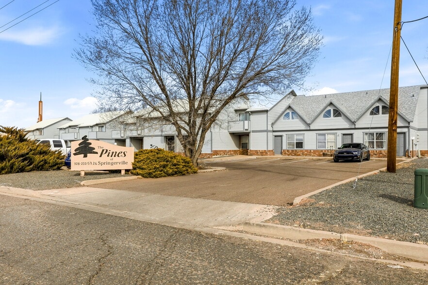 More Photos Of 44 N Aldrice Burk Dr, Springerville Multifamily For Sale