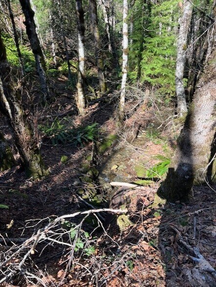 More Photos Of Highway 199, Crescent City Land For Sale