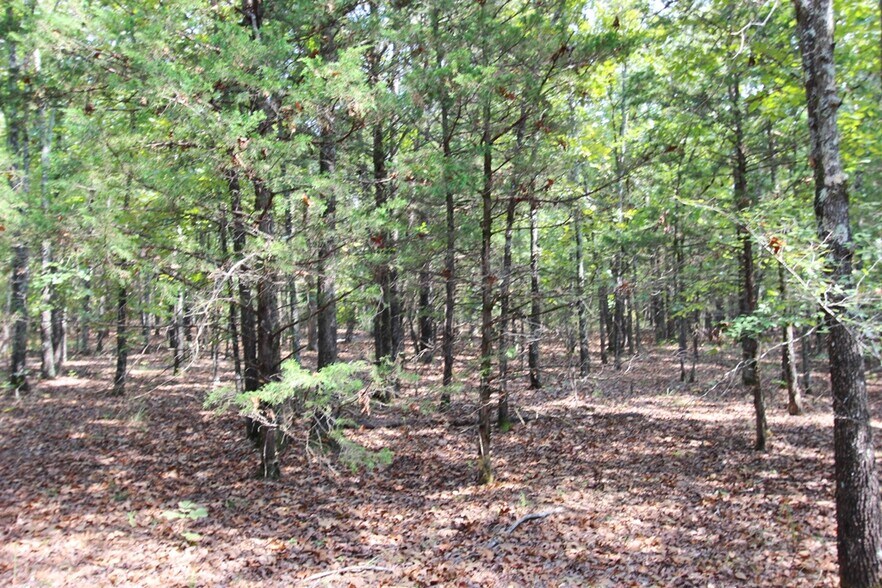 More Photos Of 226 Blythe rd, Greenbrier Land For Sale