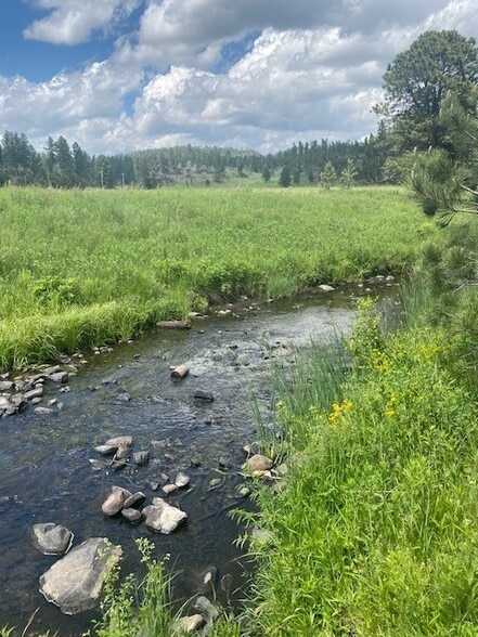 More Photos Of 25287 Lower French Creek Rd, Custer Land For Sale
