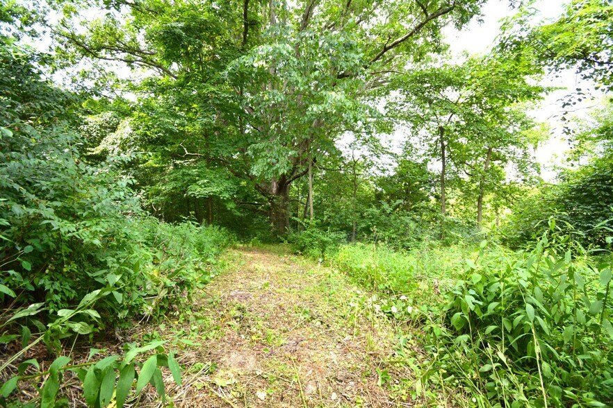 More Photos Of 250 Main st, Mount Gilead Land For Sale