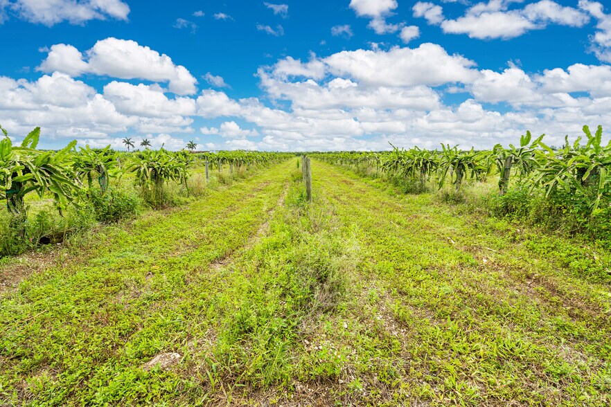 More Photos Of SW 228th Ave @ SW 227th Ave, Homestead Land For Sale