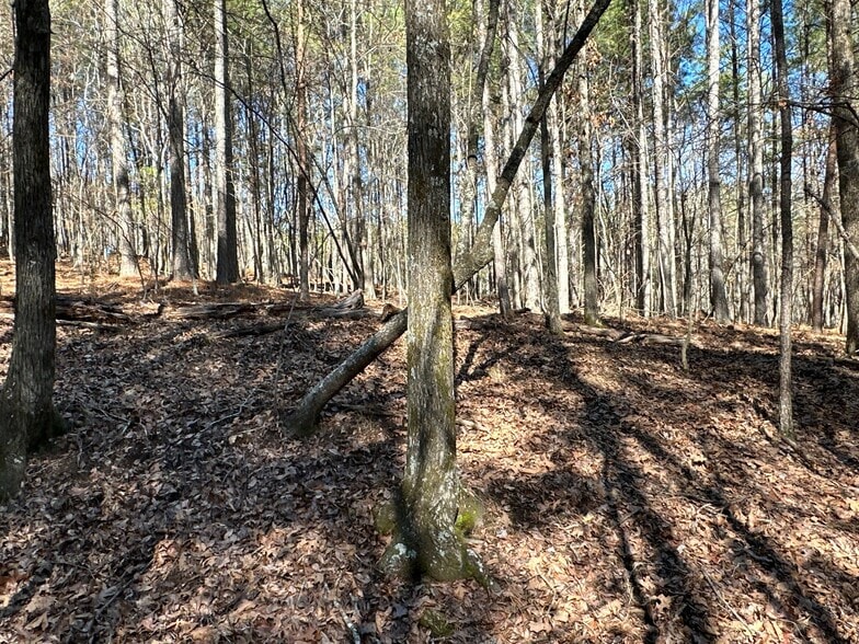 More Photos Of 3472 Prior Station Rd, Cedartown Land For Sale