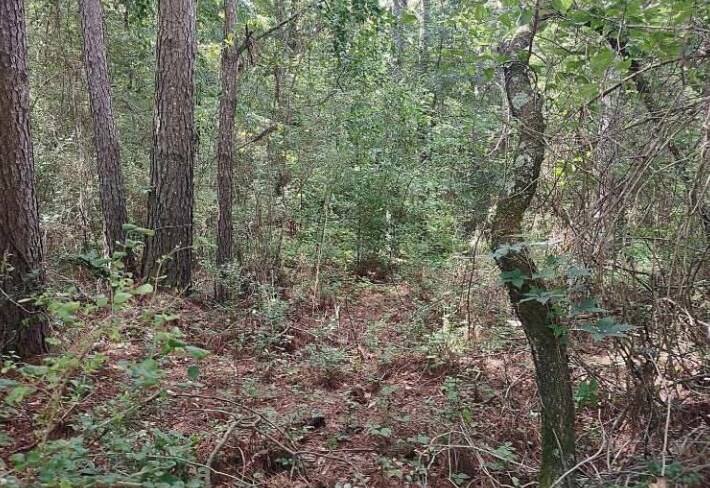 Primary Photo Of Barnesville Highway, The Rock Land For Sale