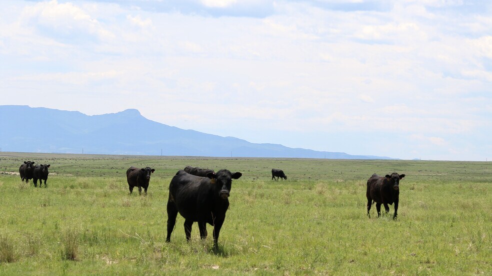 More Photos Of 48999 County Road 48, Model Land For Sale