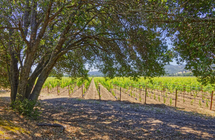 More Photos Of 6160 St Helena hwy, Napa Land For Sale