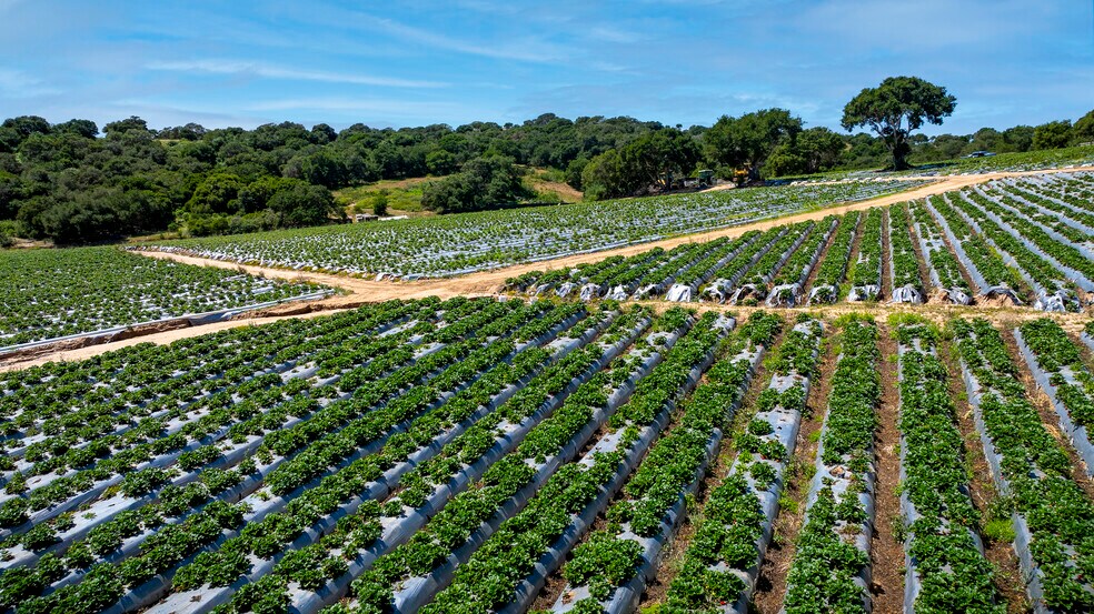 More Photos Of 975 San Juan Grade Rd, Salinas Land For Sale