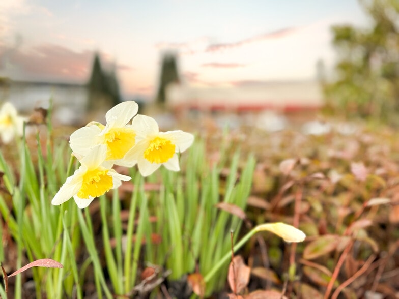 More Photos Of 12115-12117 SE Stevens Rd, Portland Unknown For Lease