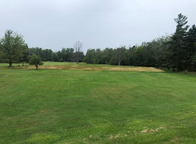 More Photos Of 2890 Southwestern Blvd, Orchard Park Land For Sale