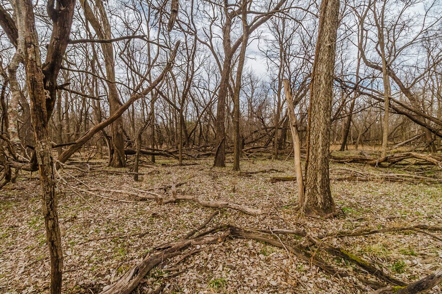 More Photos Of 79+/- Acres on 272nd Rd. Rd @ 41st Rd, Arkansas City Land For Sale