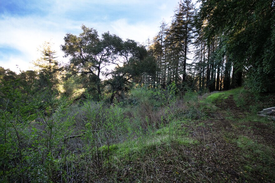 More Photos Of 18655 Black, Los Gatos Land For Sale