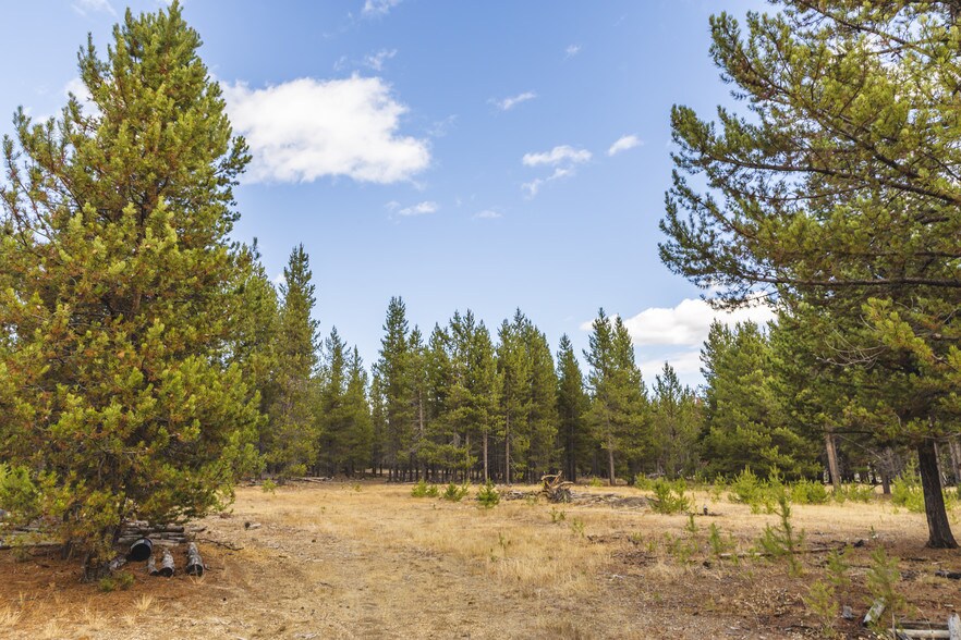 More Photos Of US Forest Service Rd, Silver Lake Land For Sale