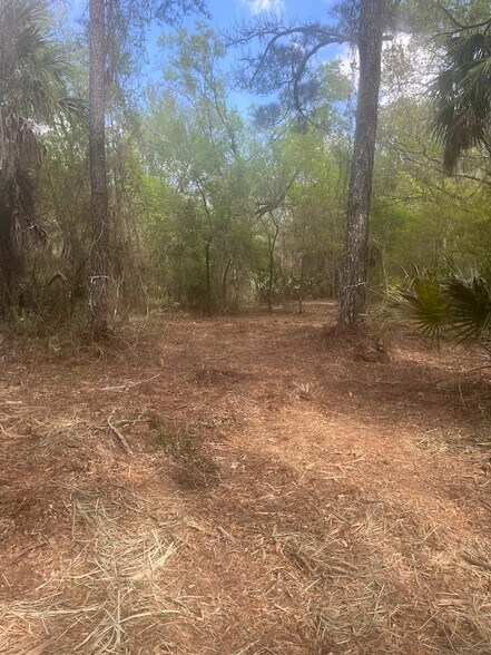 More Photos Of 0 Camellia, Crystal River Land For Sale