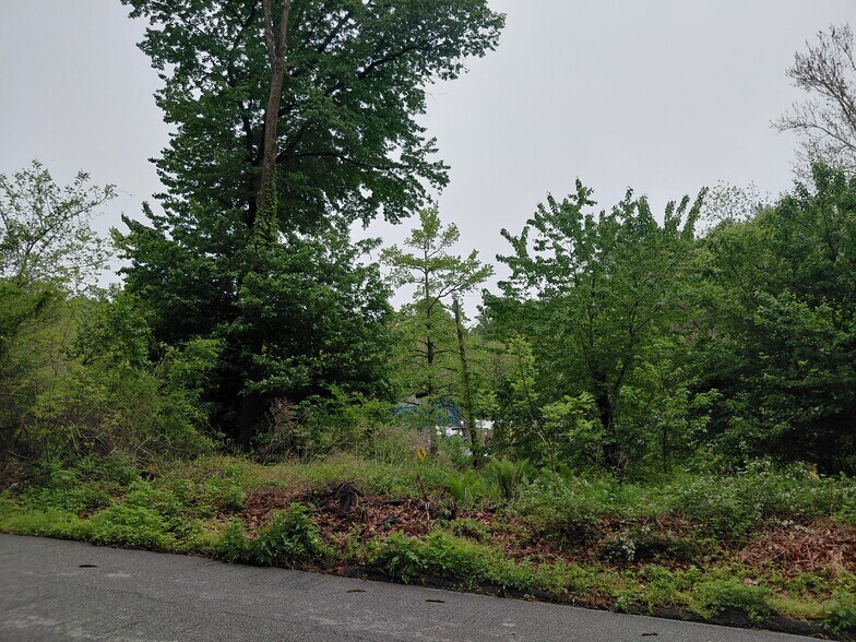 More Photos Of 115 Pennell Road, Media Land For Sale