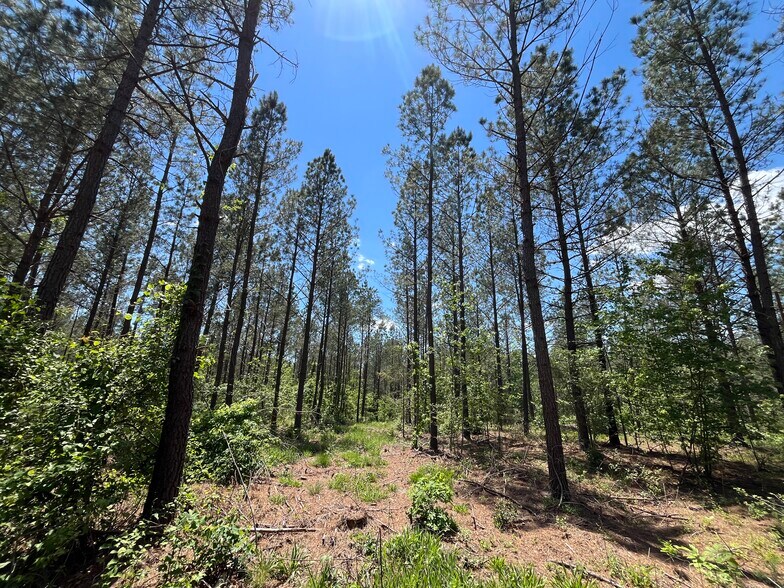 More Photos Of 00 00 Youngstown Rd, Goochland Land For Sale